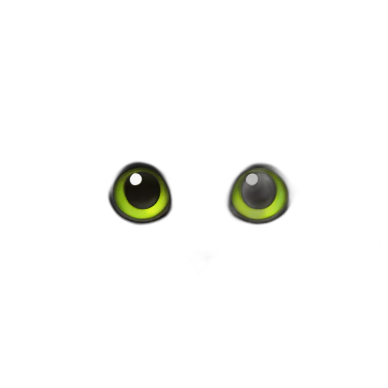 Angora turc noir aux yeux verts